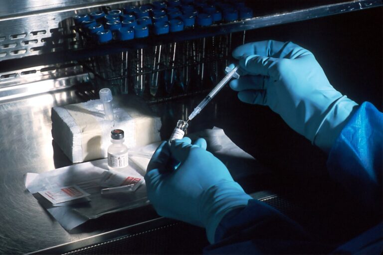 Laboratory research image for MOTS-c mitochondrial signaling and AMPK article